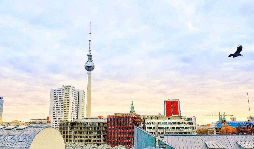 20171118_095315-EFFECTS-01.jpg