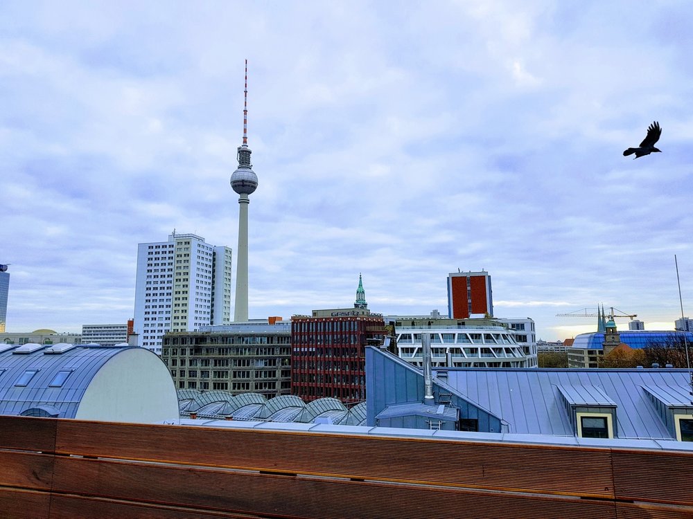 20171118_095315-EFFECTS.jpg