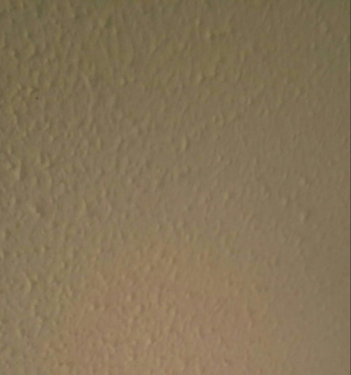 20180306_104201-1.jpg