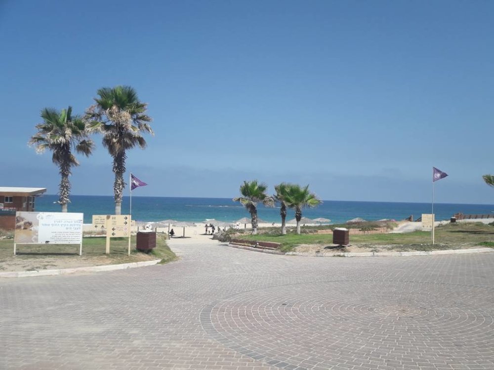 20180704_101449.jpeg