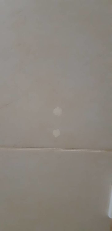 20181001_182947.jpeg