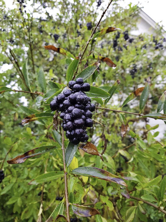 20181002_131826.jpg