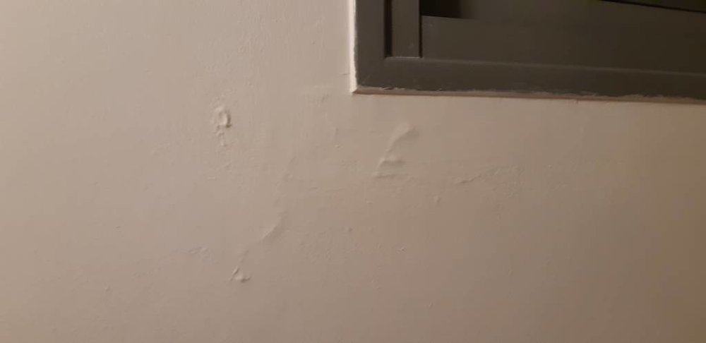 20190124_202731.jpeg