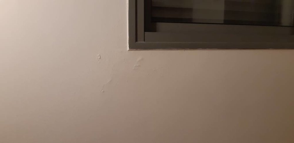 20190124_202752.jpeg