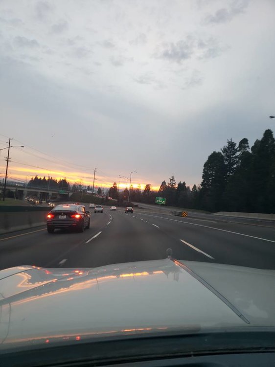 20190126_171023.jpeg