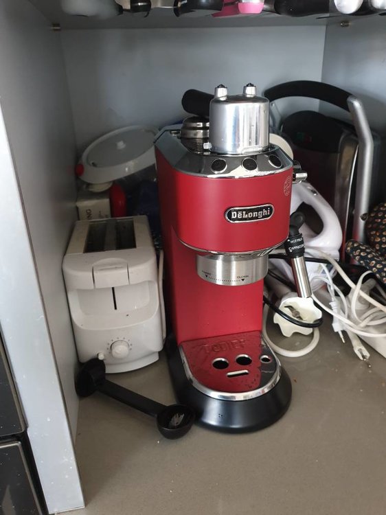 20190201_125308.jpeg