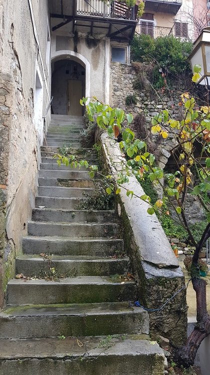20190202_104500.jpg