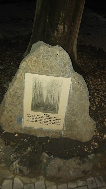 20190209_174938.jpg