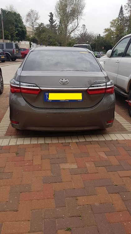 20190330_132935.jpg