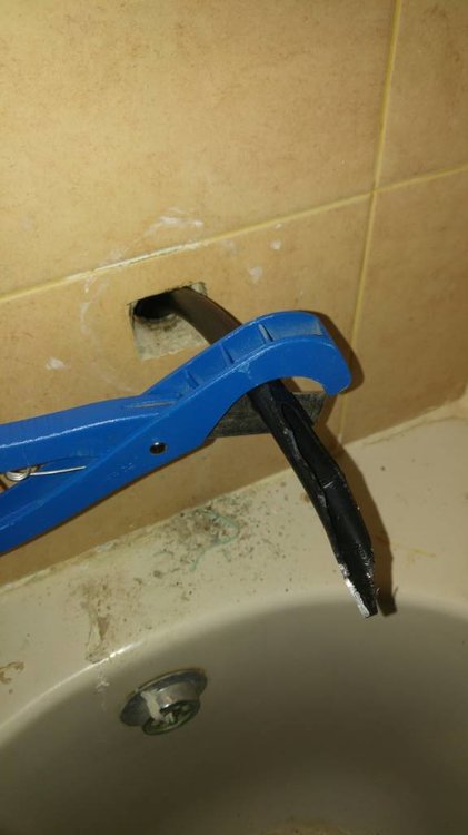 20190330_155825.jpeg