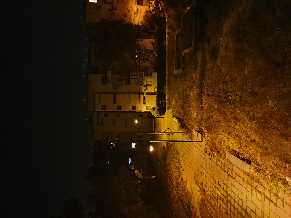 20190417_002244.jpg