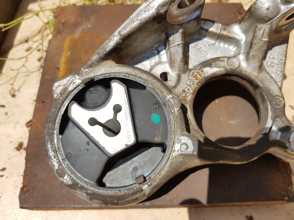 20190419_114816.jpg