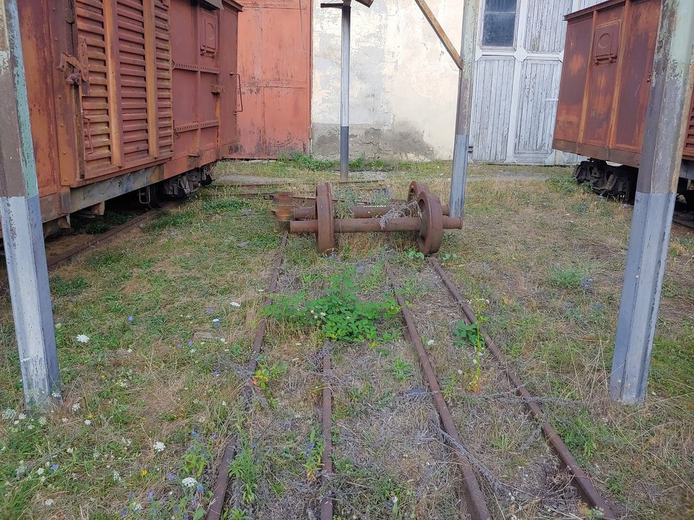 20190816_074459_HDR.jpg