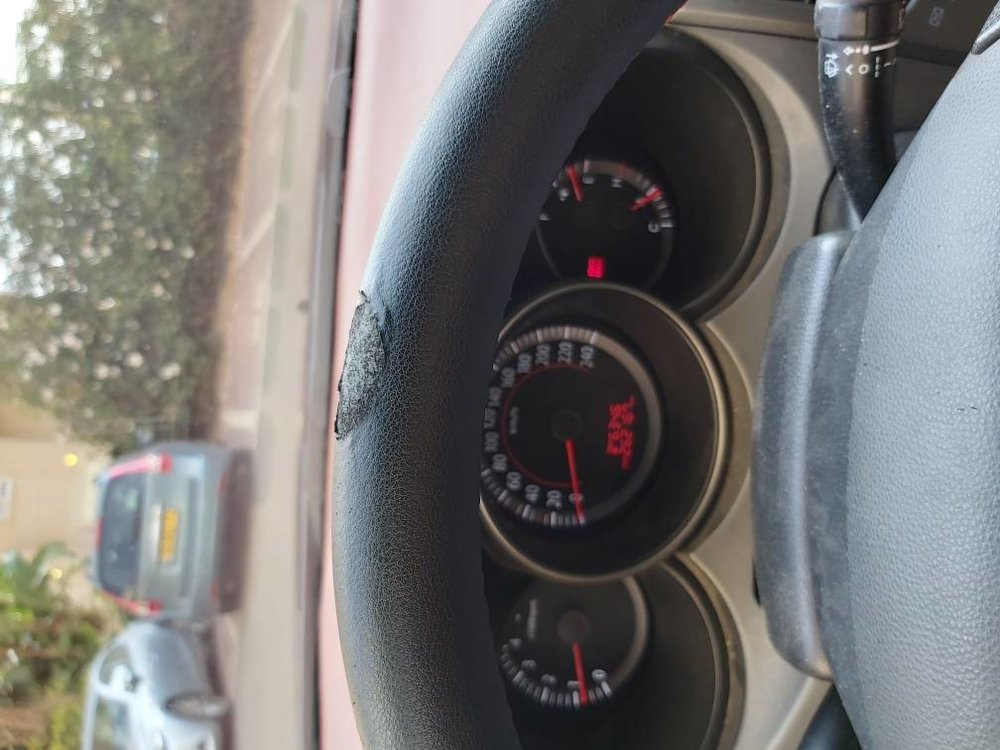 20191020_165243.jpg