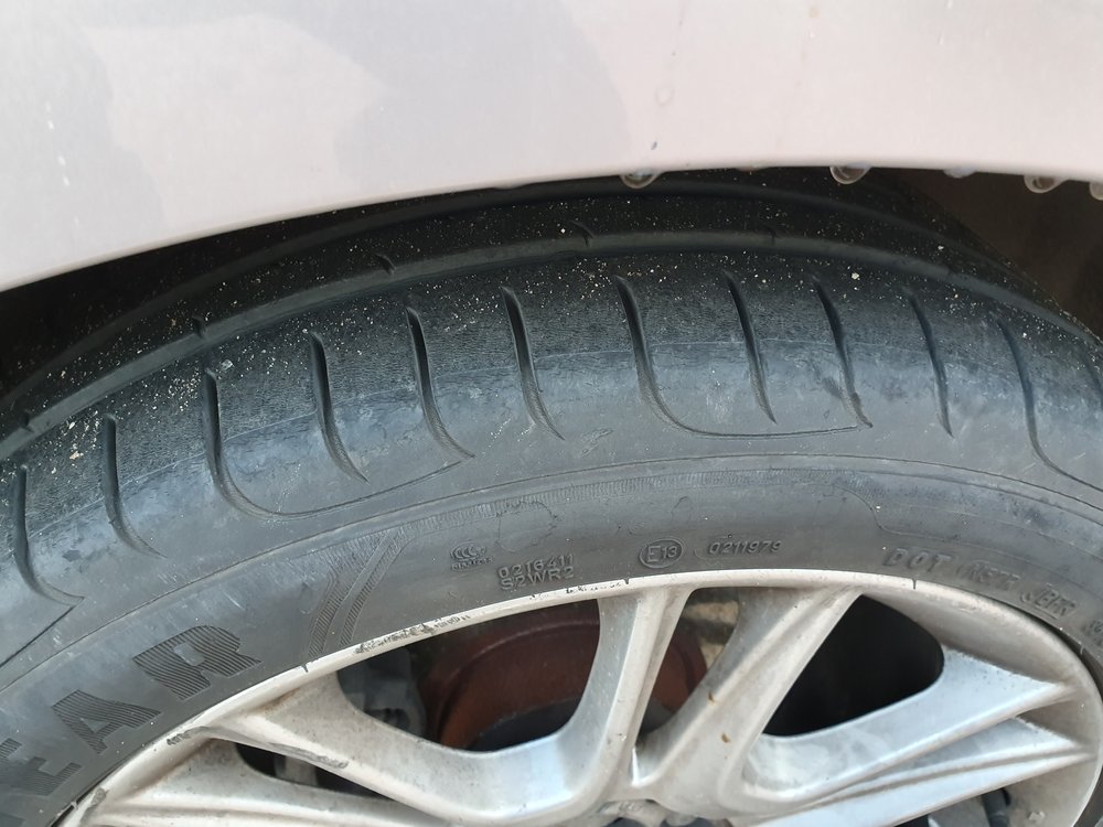 20191208_081737.jpg