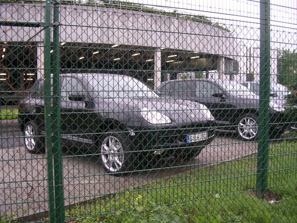 porsche's.jpg