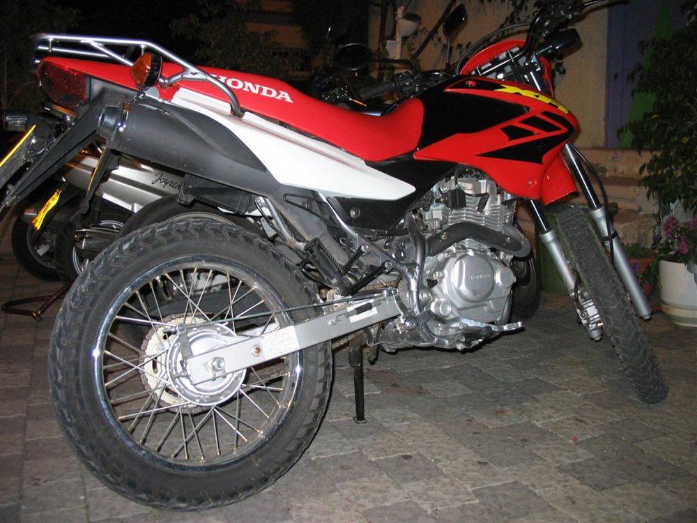 IMG_4729 (Large).jpg