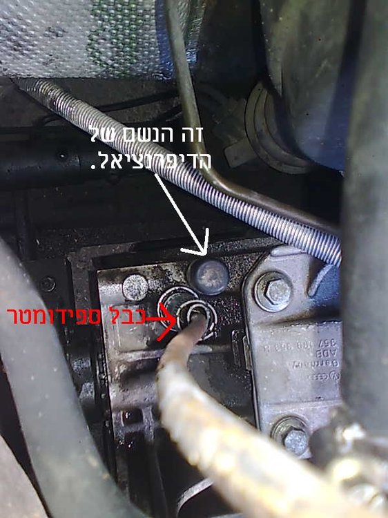 נשם בק אקס.JPG