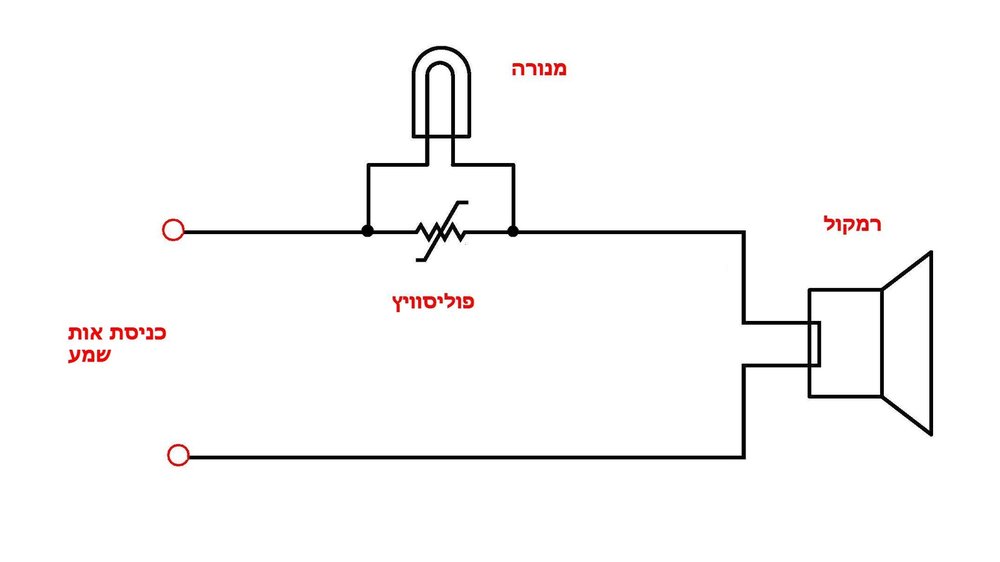 הגנה על רמקול.jpg