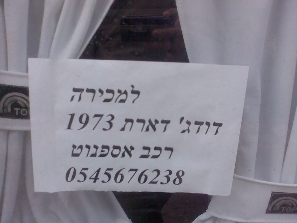 תמונה238.jpg
