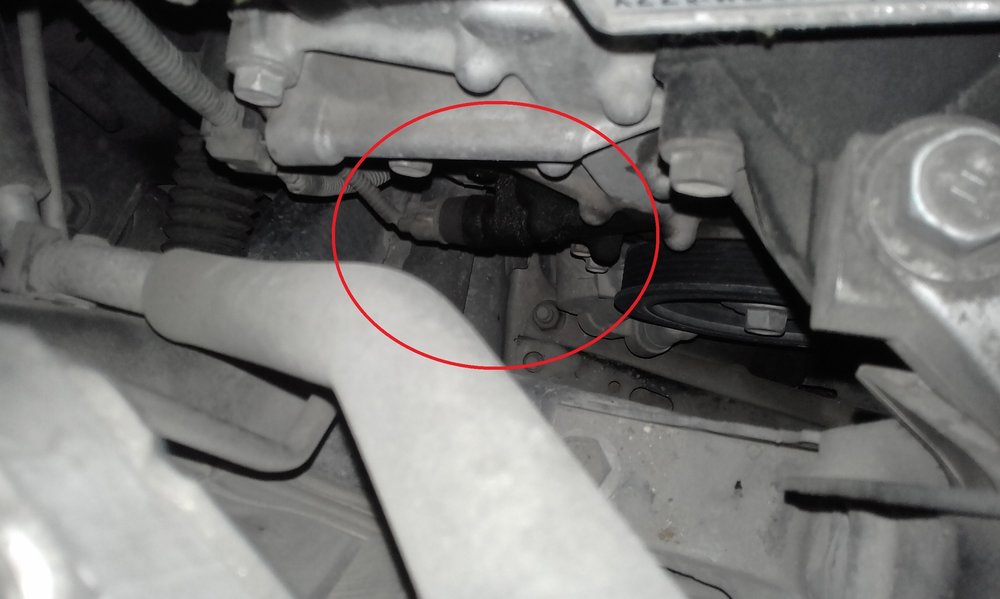 corolla oil.jpg