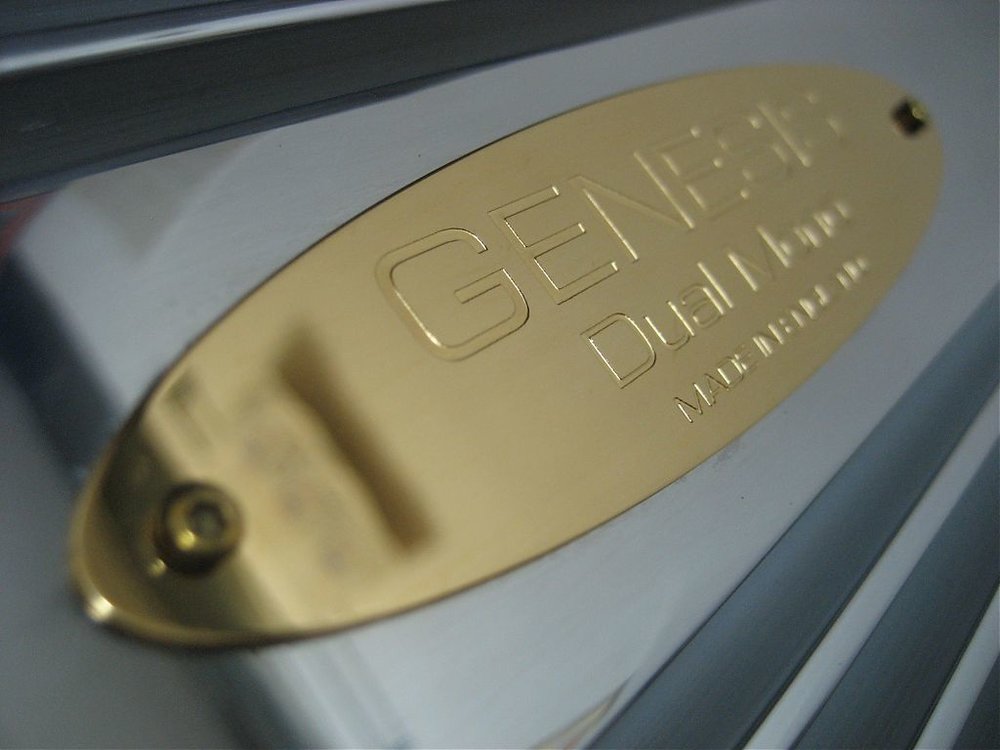Genesis DM 009.jpg
