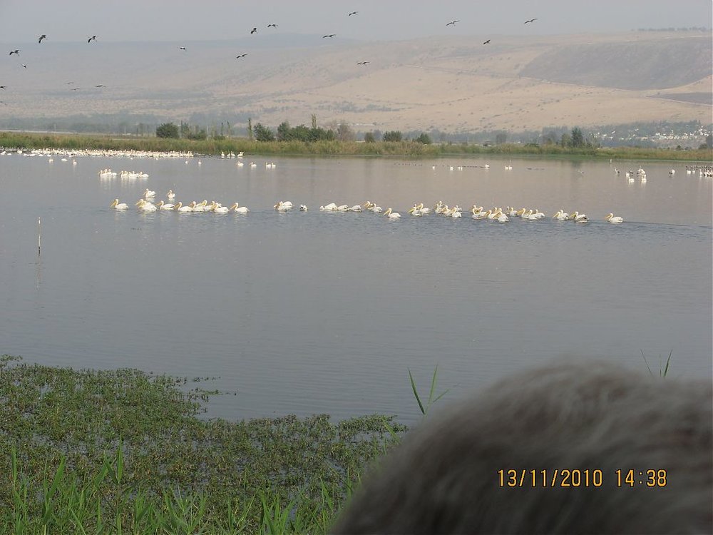 טיול לצפון 022.jpg