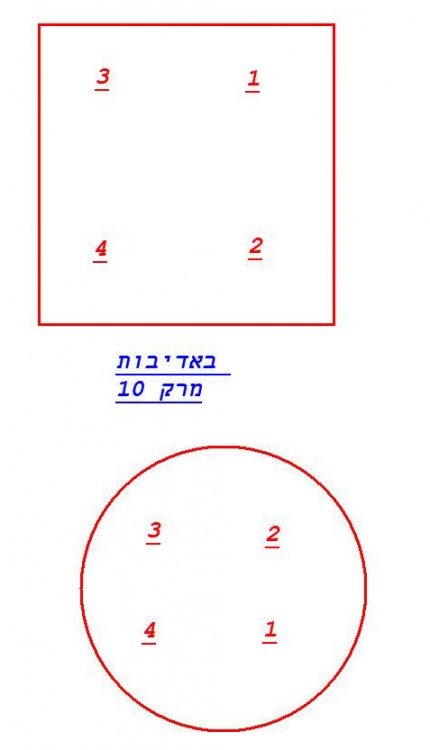 חיפושית.JPG
