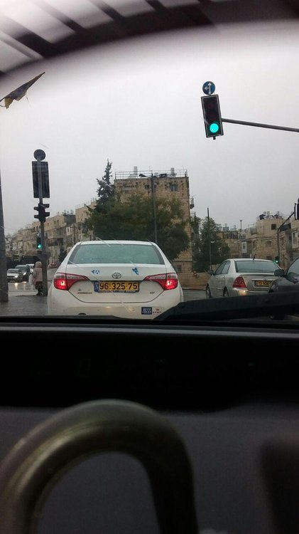 קורולה 1.jpg