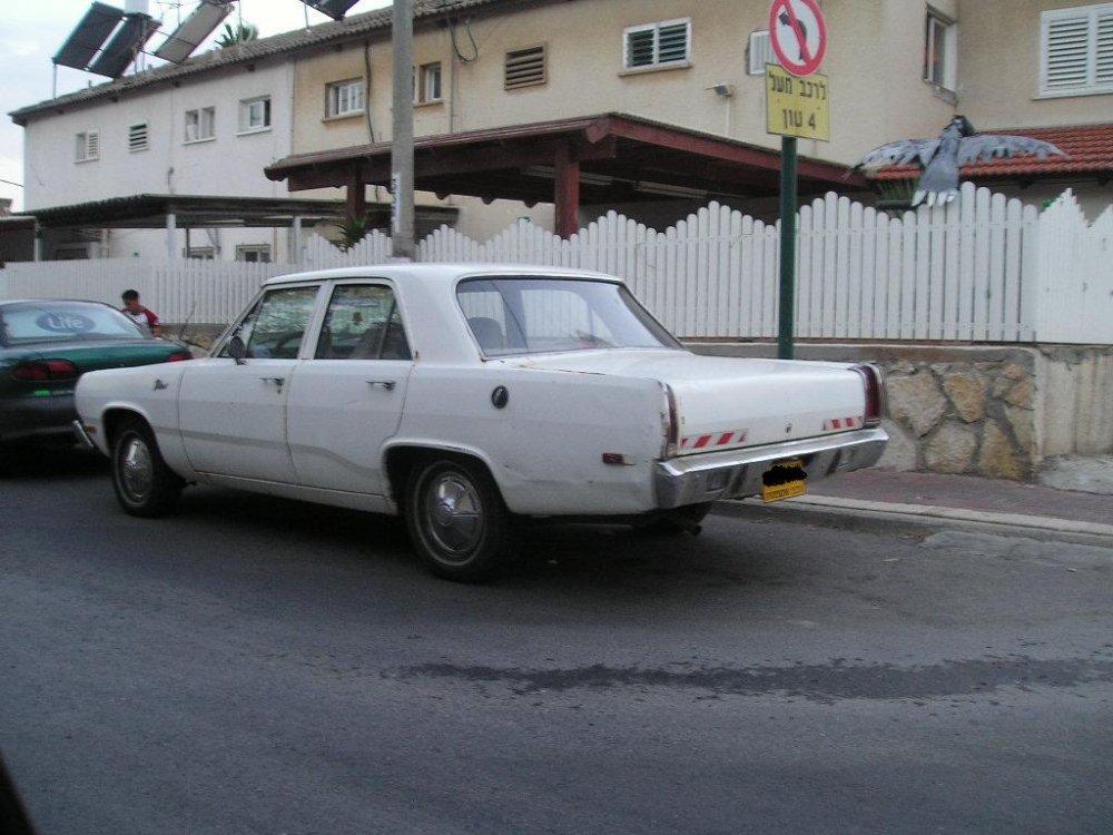 אמריקאית   2.JPG