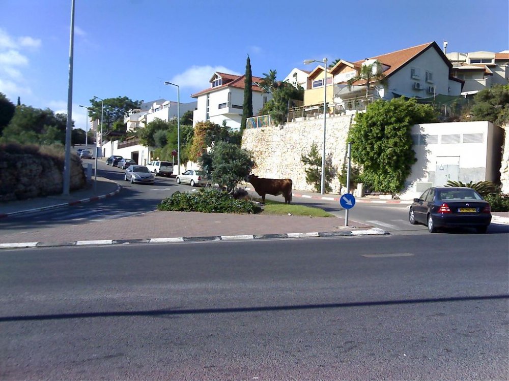 21-05-07_1714.jpg