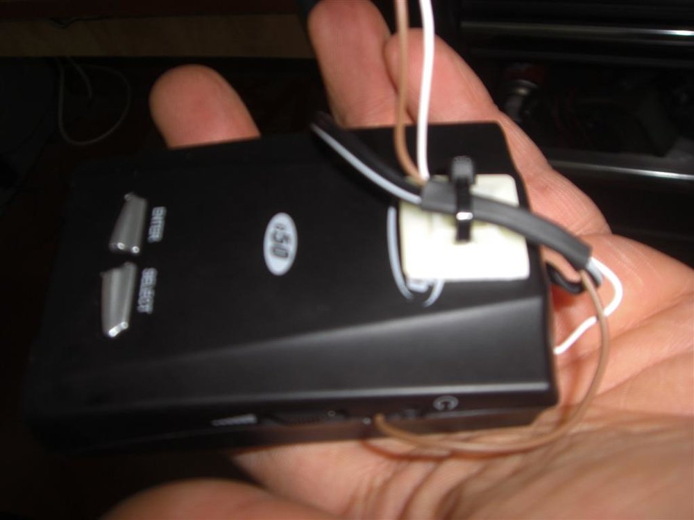 CIMG6783 (Large).JPG