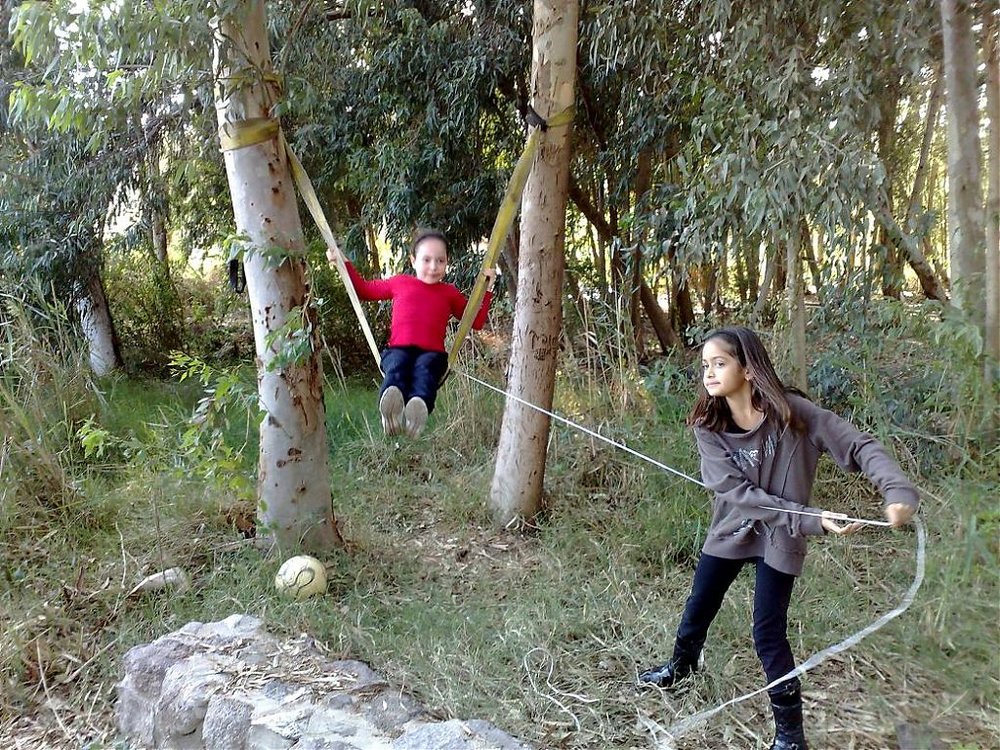21112009486.jpg