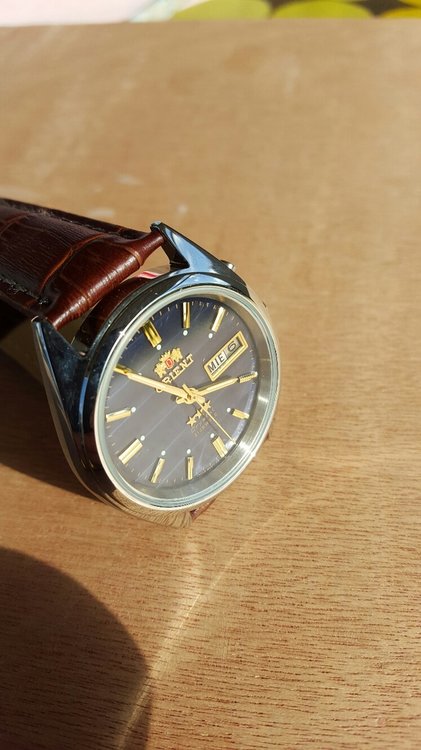 orient (1).jpg