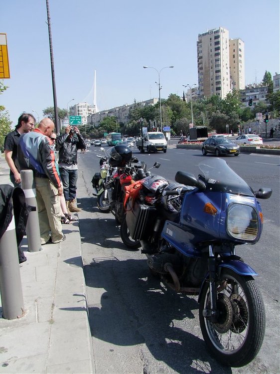 אלוויס 003.jpg