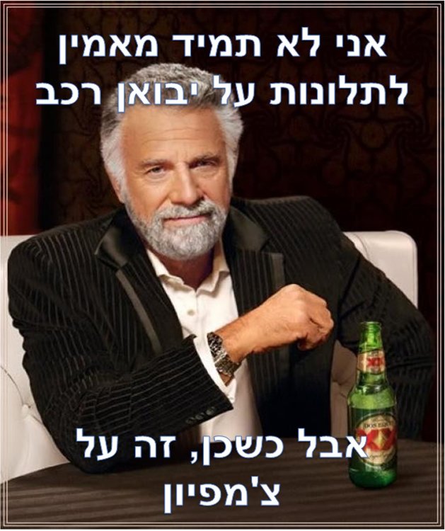 213.jpg
