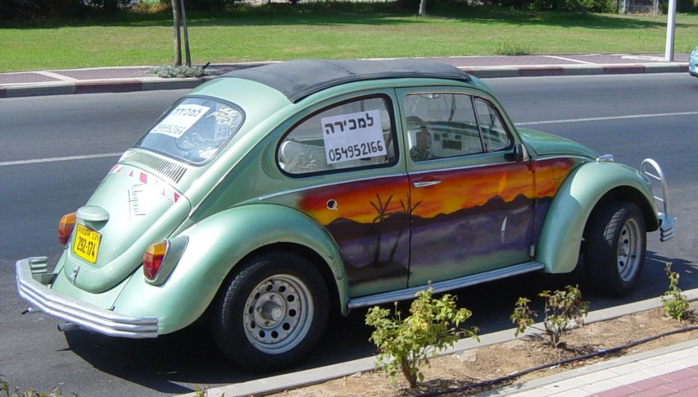 חיפושית 2.jpg