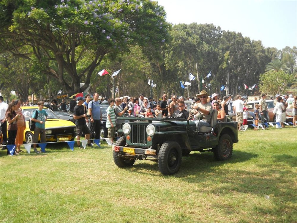 82 (Large).jpg