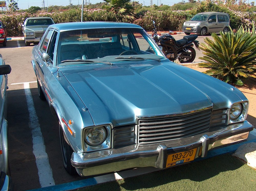 מפגש השרון בגעש  10.7.15 021.jpg