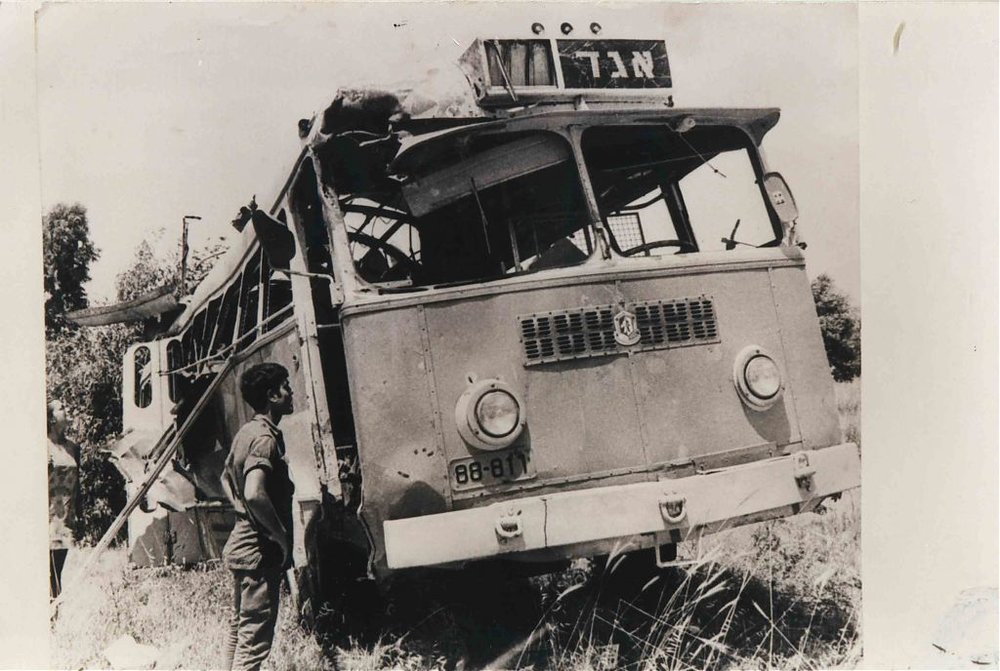 22815663.jpg
