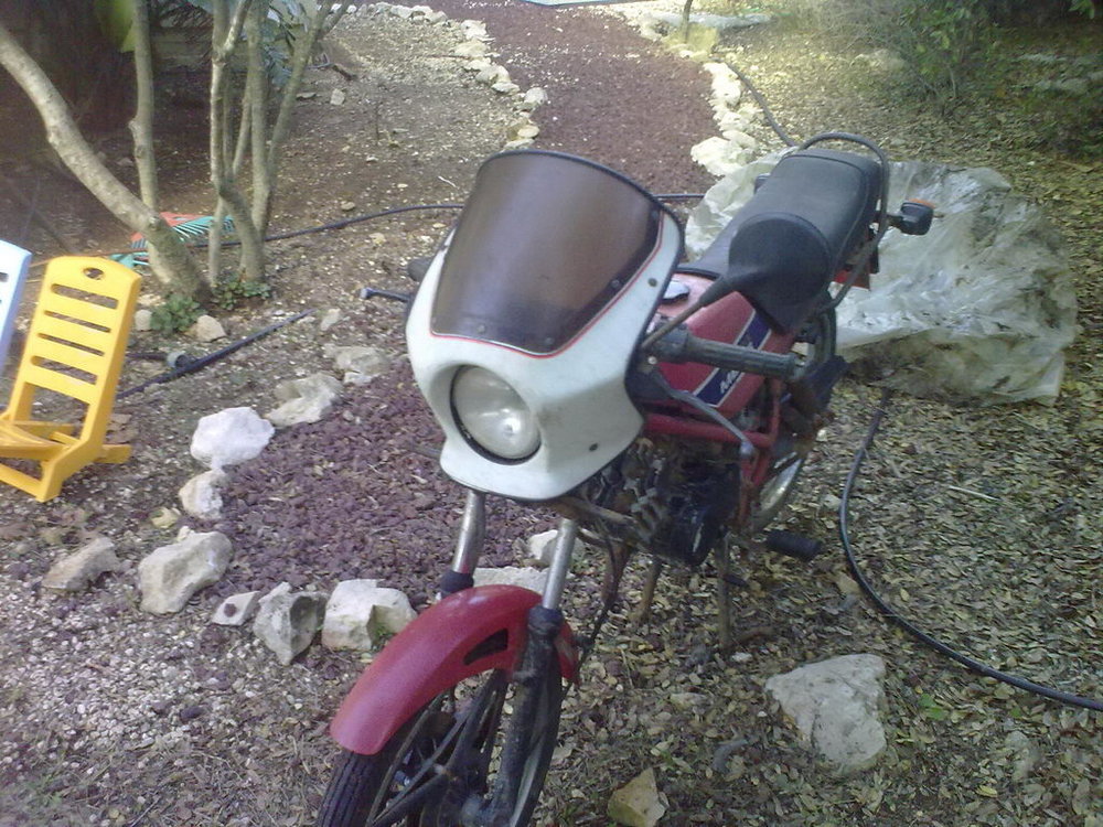 24122010015.jpg