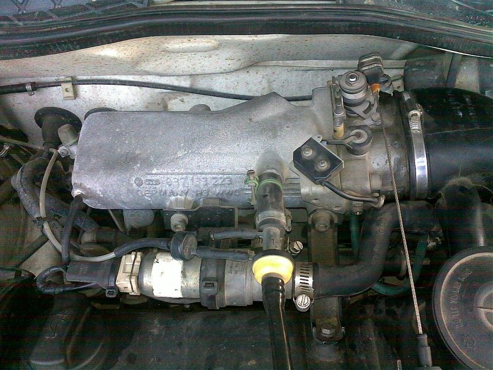 25032009054.jpg