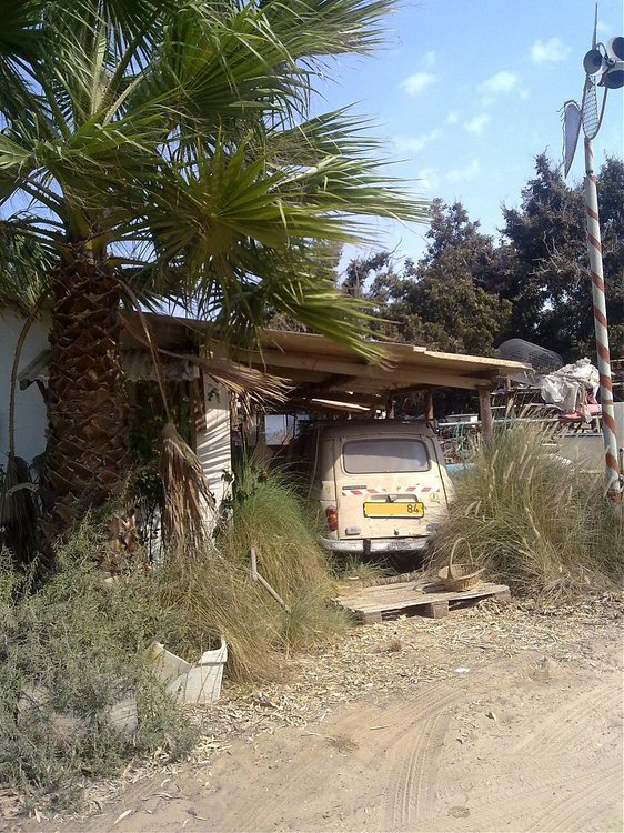 25092010282.jpg
