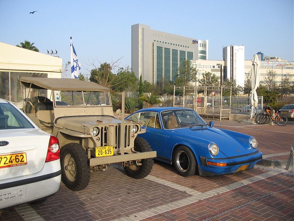 מפגש שפלה 20.3.09 010.jpg