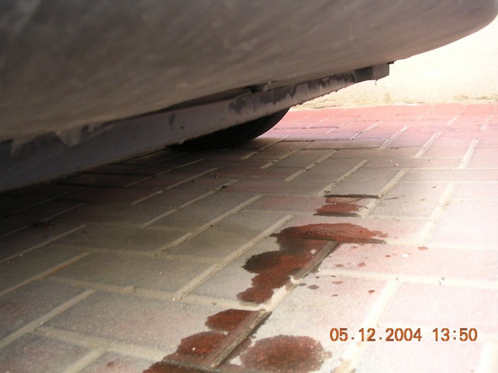Punto 1.jpg