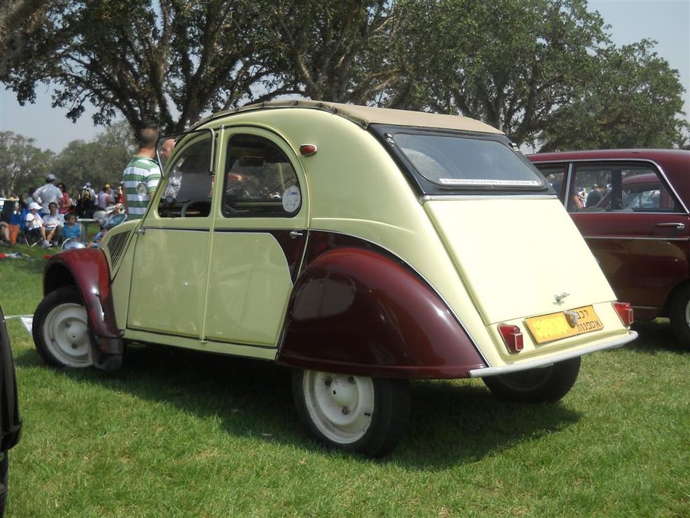 69 (Large).jpg
