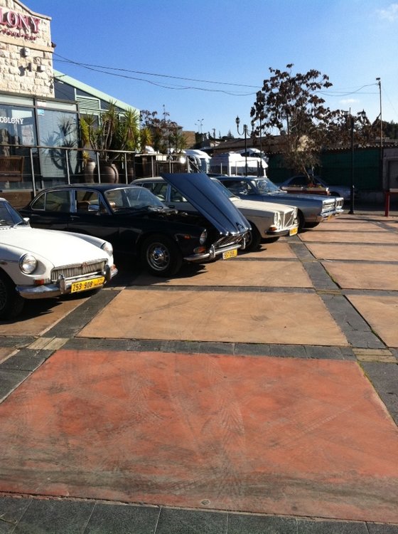 תמונה 537.jpg