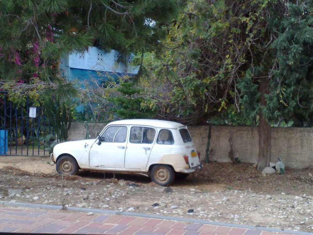 260120101064.jpg