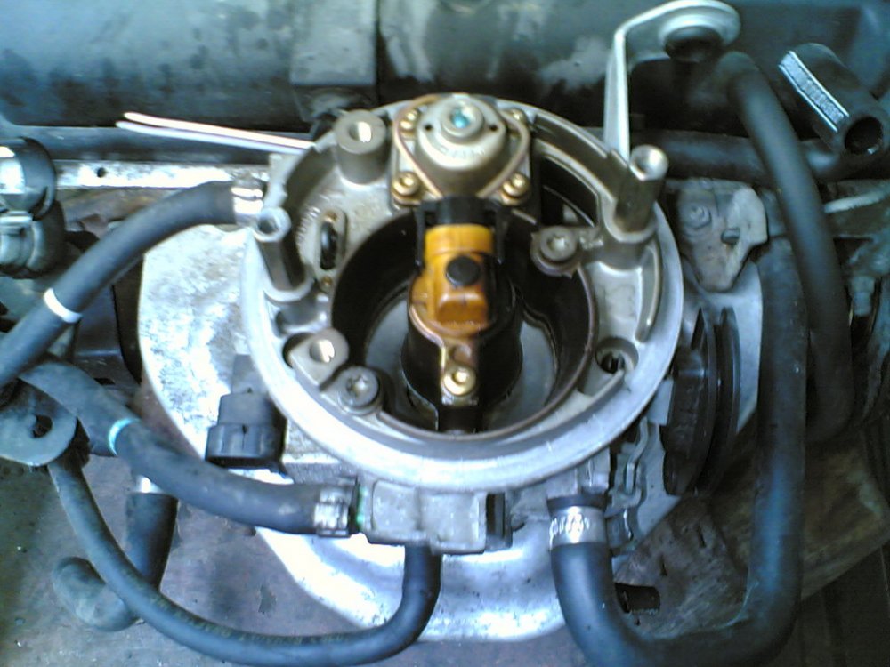 27102006(004).jpg