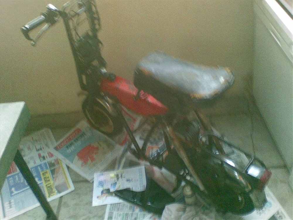 28072009(011).jpg